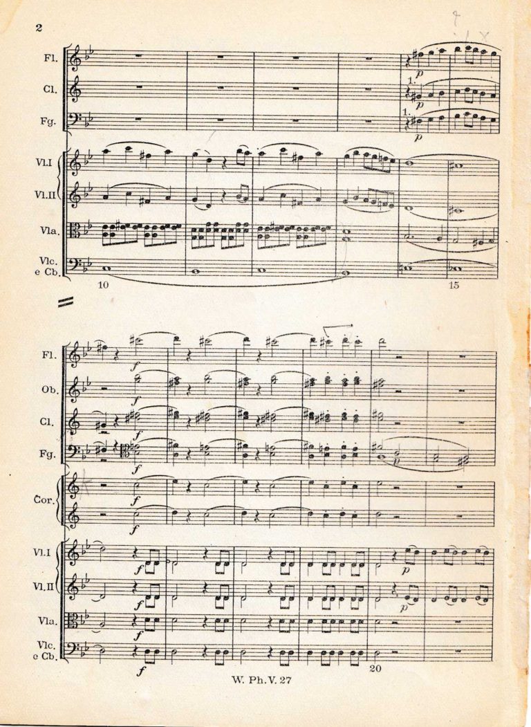 Mozart: Symphony No. 40 in G Minor, KV 550 1st movement excerpts